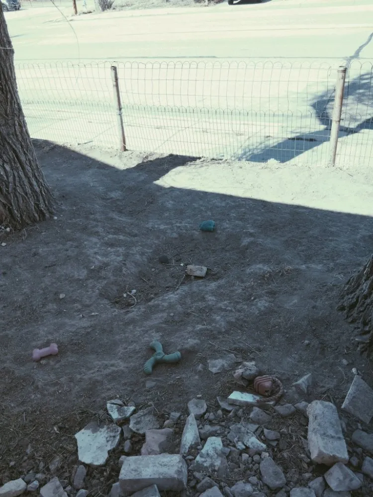 Local landscape installation for outdoor upgrades across Casper, WY - Landscape and Construction