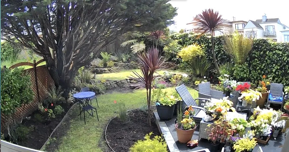 Affordable yard maintenance for outdoor upgrades in San Bruno, CA by Landscape and Construction