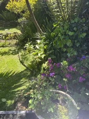 Landscape and Construction Logo