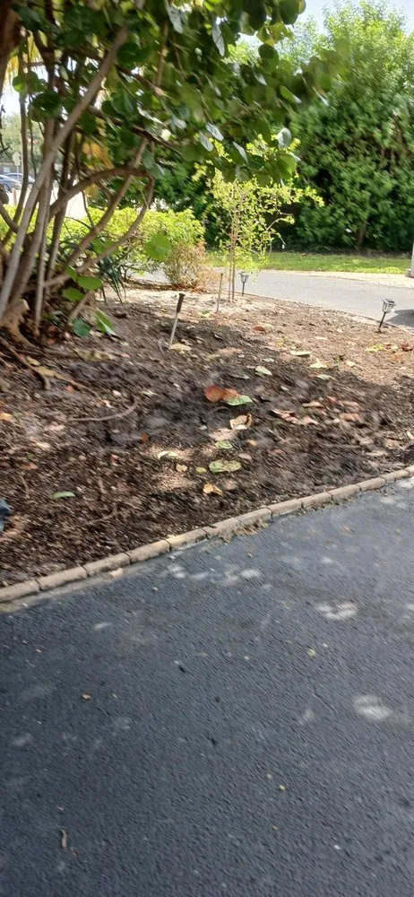 Expert landscape design experts serving Greenacres, FL - Landscape And Design Plus