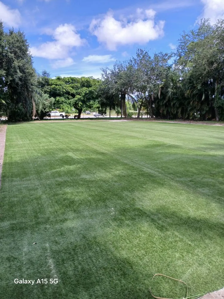 Top-rated yard maintenance for homes in Greenacres, FL by Landscape And Design Plus