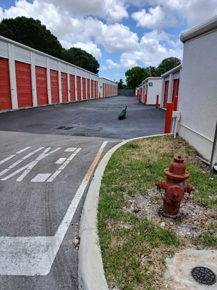 Reliable yard maintenance for homes in Greenacres, FL by Landscape And Design Plus