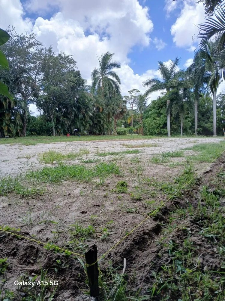 Trusted outdoor landscaping for beautiful yards in West Palm Beach, FL by Landscape and Design Plus