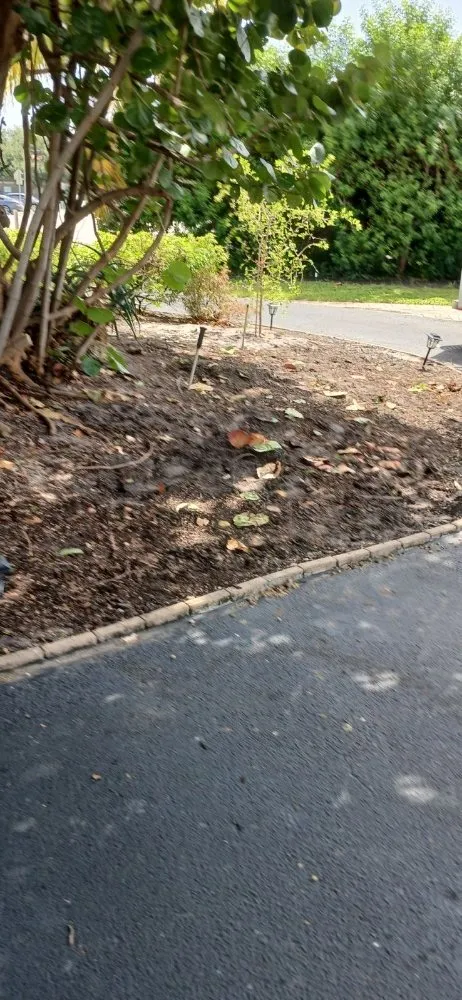 Top-rated landscape installation in West Palm Beach, FL by Landscape and Design Plus