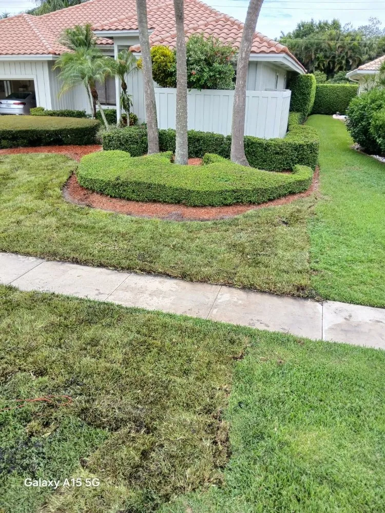 Trusted landscaping services experts serving West Palm Beach, FL - Landscape and Design Plus