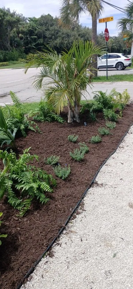 Affordable landscaping services for year-round maintenance across West Palm Beach, FL - Landscape and Design Plus