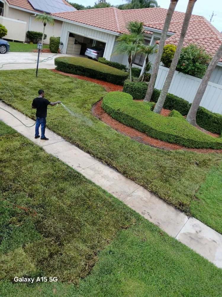 Affordable garden landscaping in West Palm Beach, FL - Landscape and Design Plus
