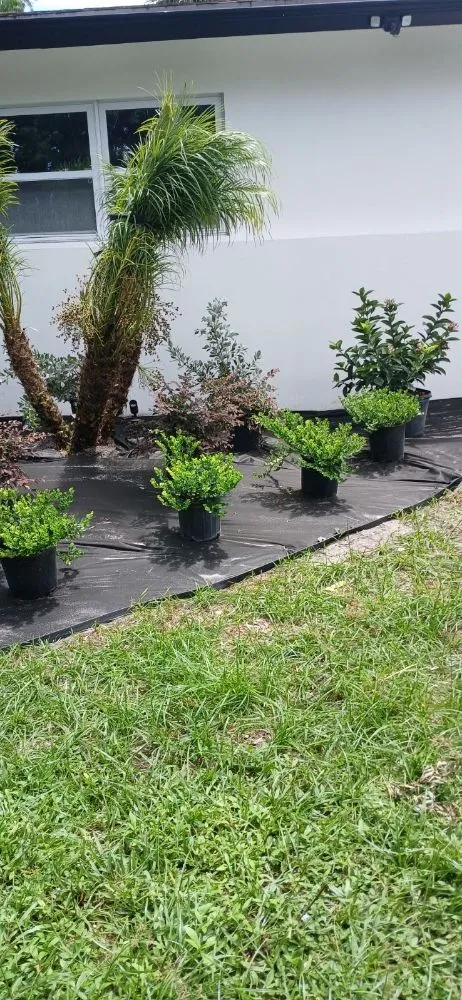 Custom lawn care service experts serving West Palm Beach, FL - Landscape and Design Plus
