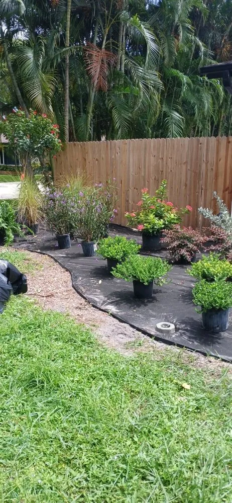Local yard maintenance in West Palm Beach, FL by Landscape and Design Plus