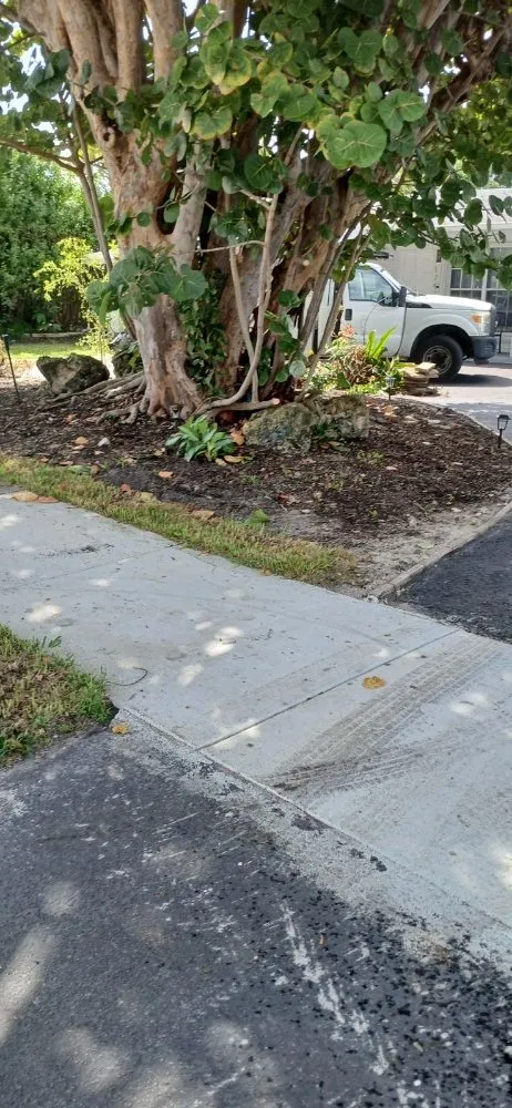 Local landscape installation experts serving West Palm Beach, FL - Landscape and Design Plus