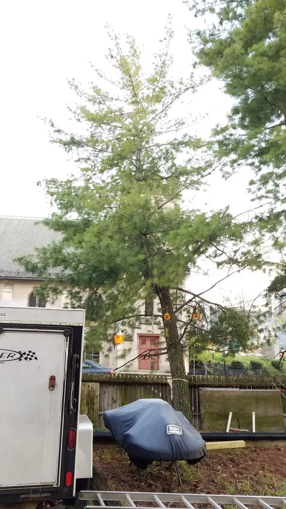 Trusted outdoor landscaping near you across Alexandria, VA - Landscape and Drainage Services