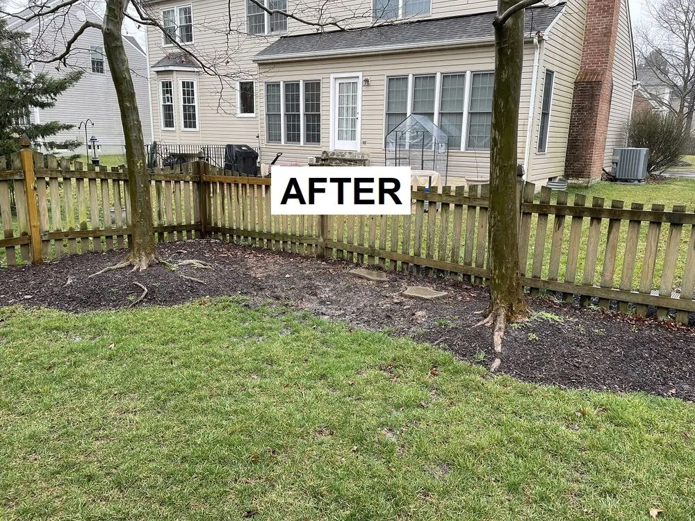 Affordable landscaping services for year-round maintenance across Alexandria, VA - Landscape and Drainage Services