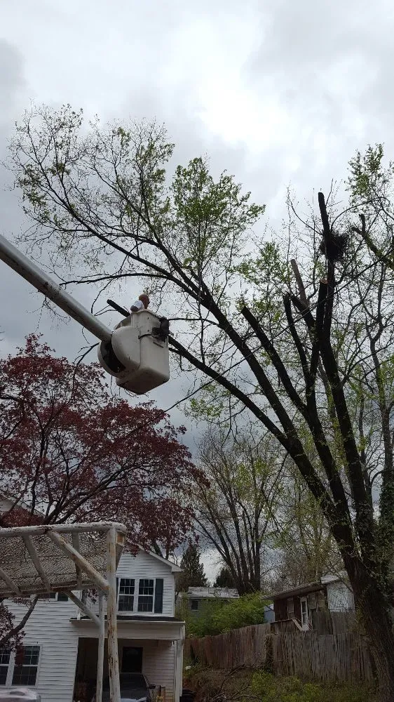 Top-rated residential landscaping for residential properties across Alexandria, VA - Landscape and Drainage Services