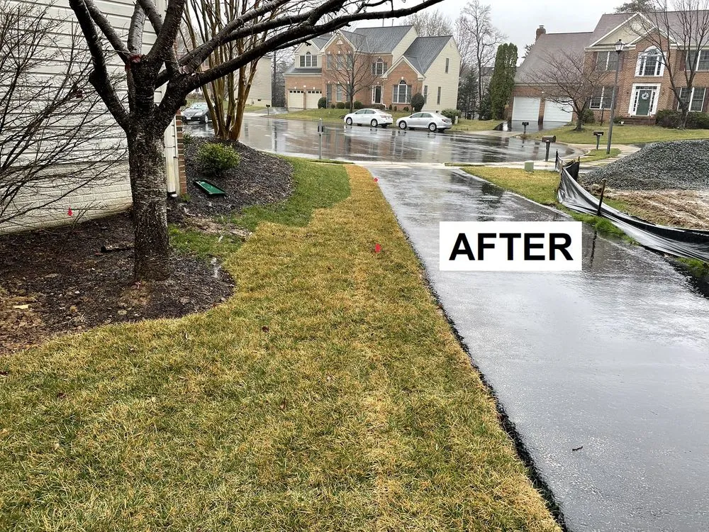 Trusted lawn care service in Alexandria, VA by Landscape and Drainage Services