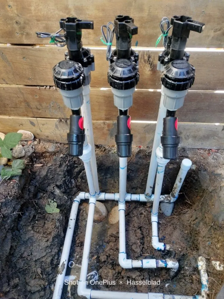 Trusted lawn mowing service in Vista, CA by Landscape and Irrigation Santiago