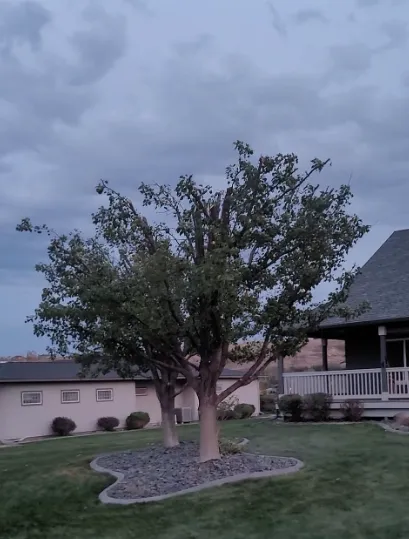 Affordable residential landscaping near you across Kennewick, WA - Landscape And Lawn Care Unlimited Services