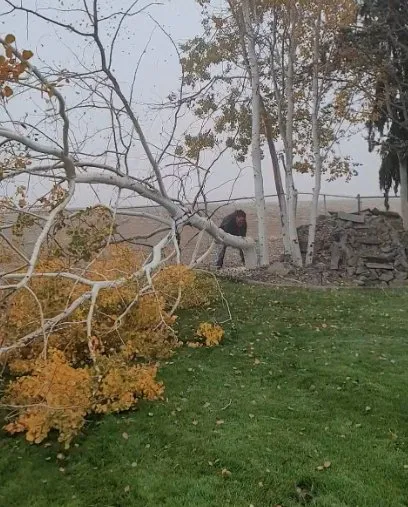 Top-rated landscape design for beautiful yards across Kennewick, WA - Landscape And Lawn Care Unlimited Services