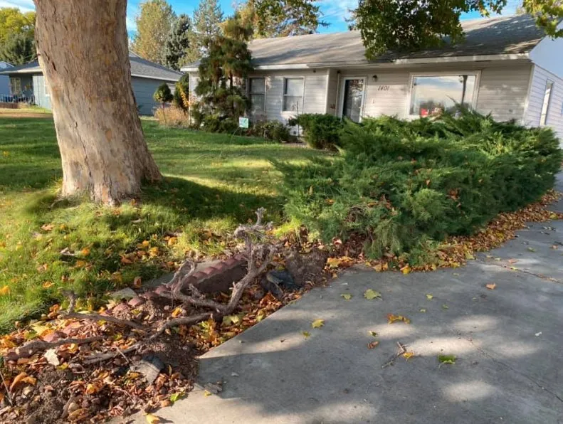 Expert lawn care service in Kennewick, WA by Landscape And Lawn Care Unlimited Services