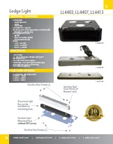 Trusted yard cleanup service for homes in Camarillo, CA by Landscape and Lights