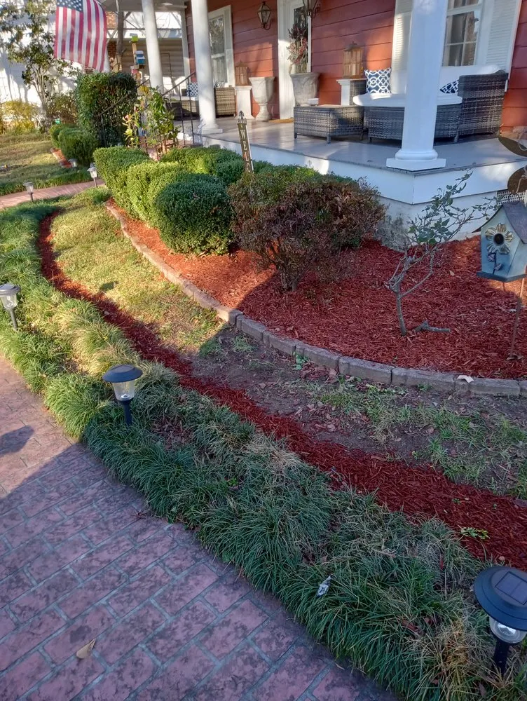 Local lawn care service experts serving Philadelphia, MS - Landscape And Property Services