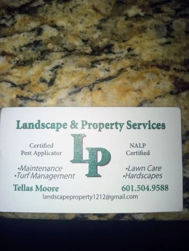 Expert lawn care service in Philadelphia, MS - Landscape And Property Services