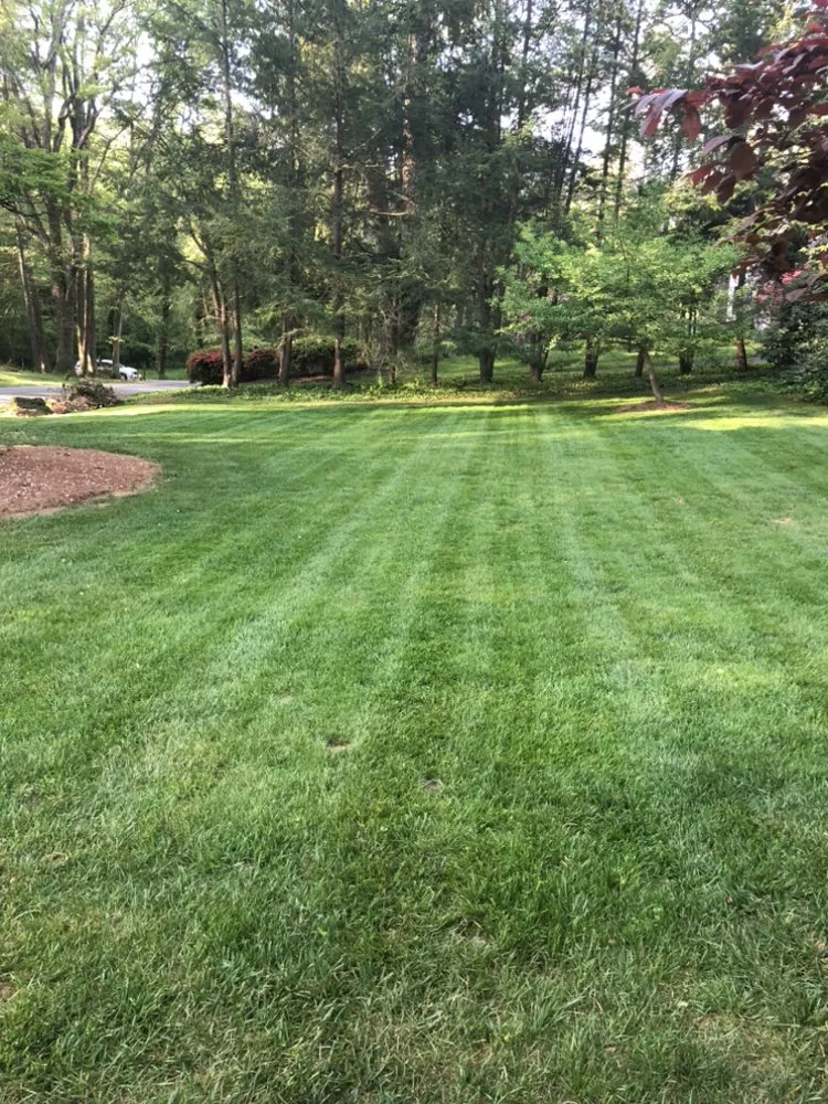 Expert garden landscaping in Fletcher, NC - Landscape and Turf Solutions