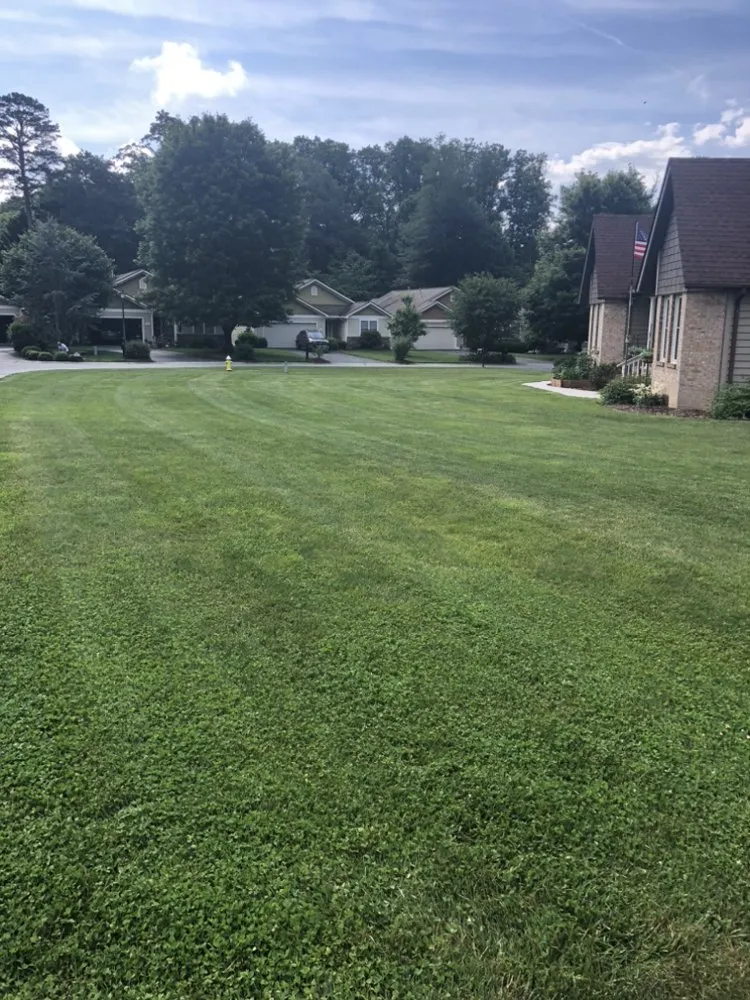 Custom landscape design for beautiful yards across Fletcher, NC - Landscape and Turf Solutions