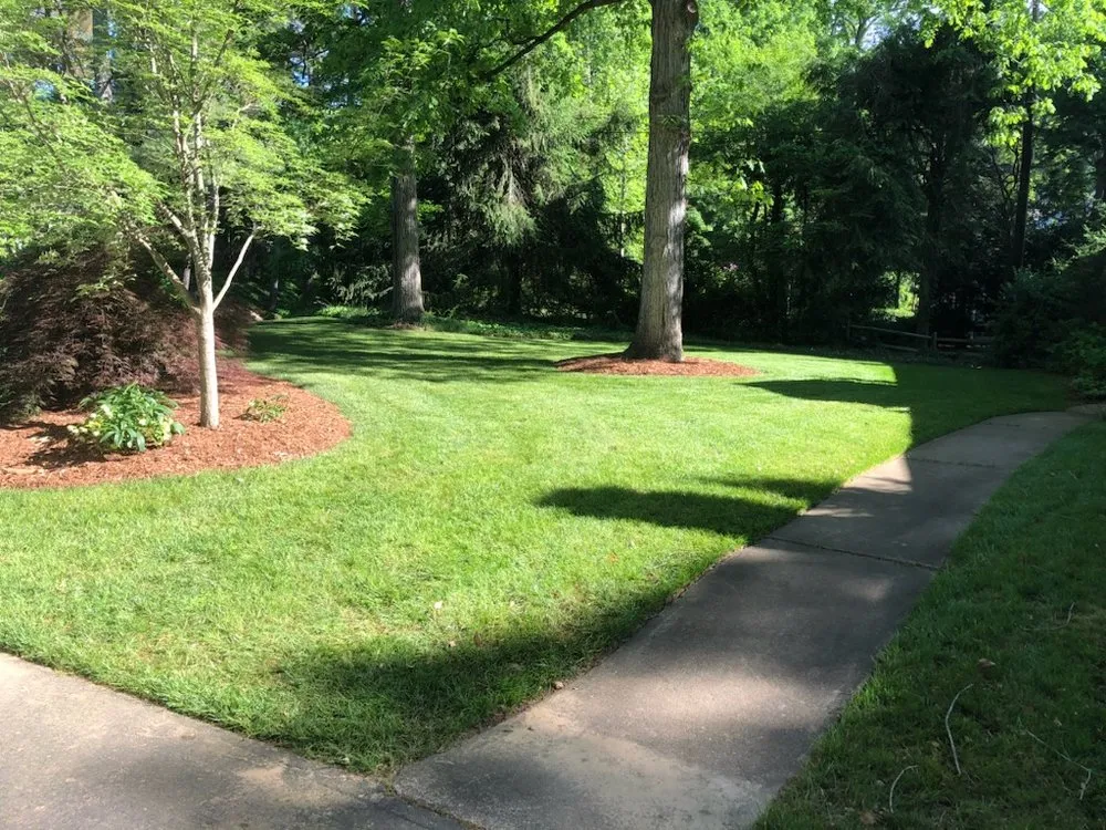 Expert yard maintenance in Fletcher, NC by Landscape and Turf Solutions