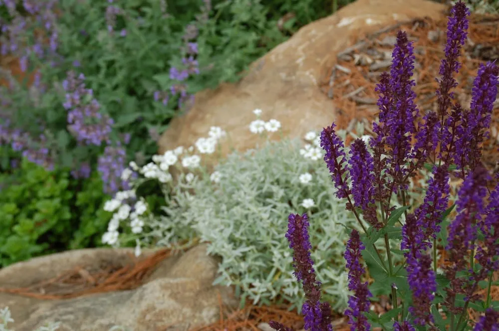 Local outdoor landscaping in Madison, WI by Landscape Architecture