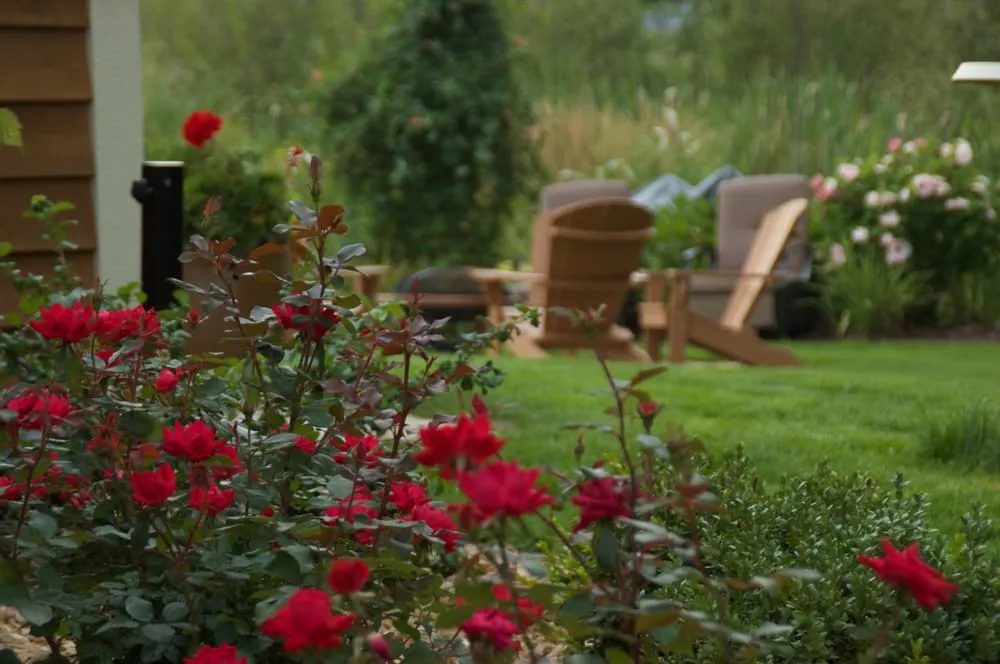 Reliable yard cleanup service in Madison, WI by Landscape Architecture