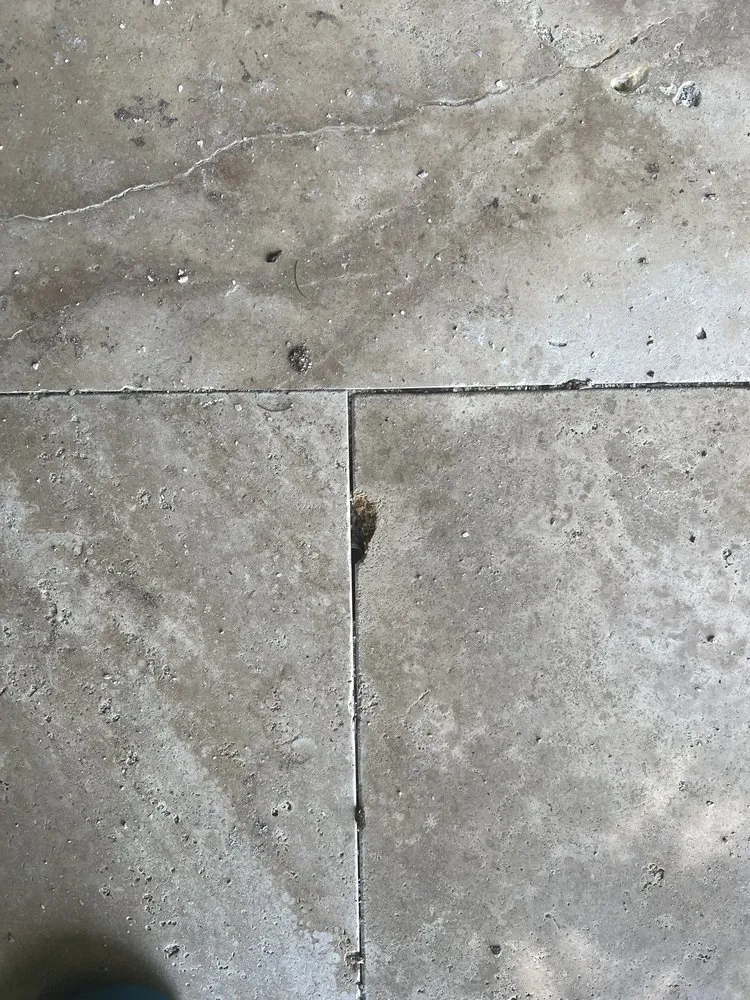 Trusted garden landscaping in Coral Springs, FL - Landscape Art