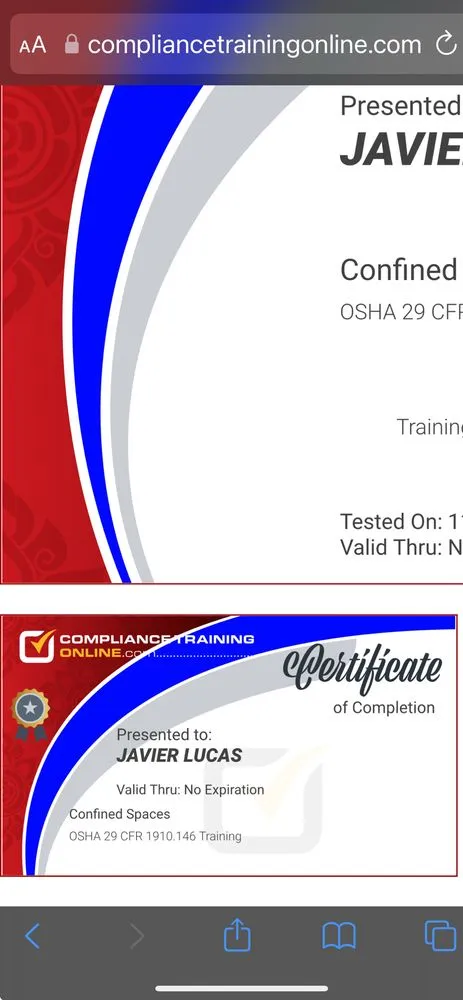 Professional yard maintenance with custom design in Freehold, NJ by Landscape Artist