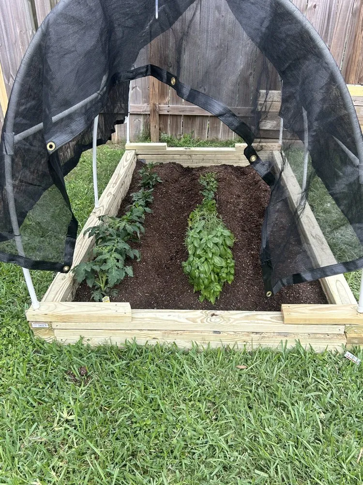 Local yard cleanup service for outdoor upgrades in Missouri City, TX by Landscape Artistry