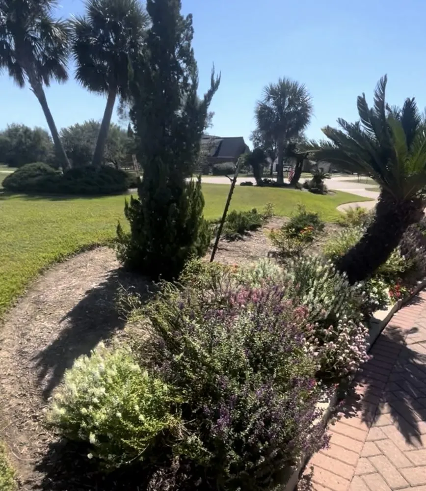 Trusted residential landscaping in Missouri City, TX - Landscape Artistry