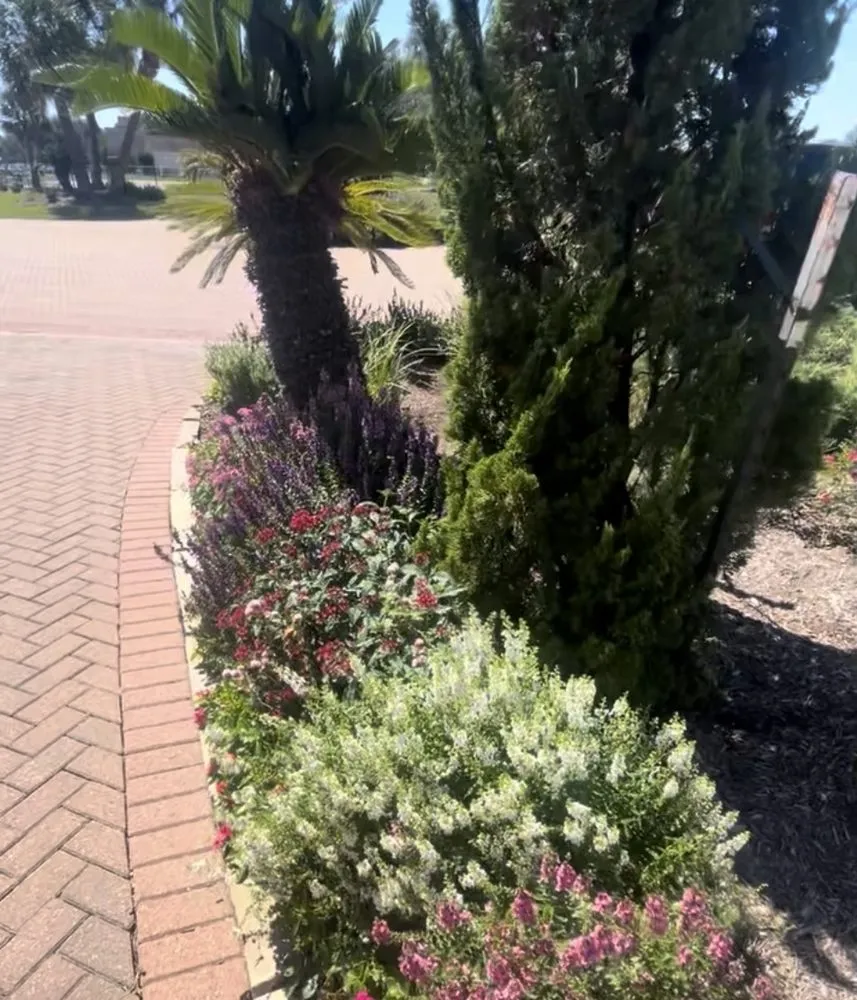 Professional outdoor landscaping experts serving Missouri City, TX - Landscape Artistry