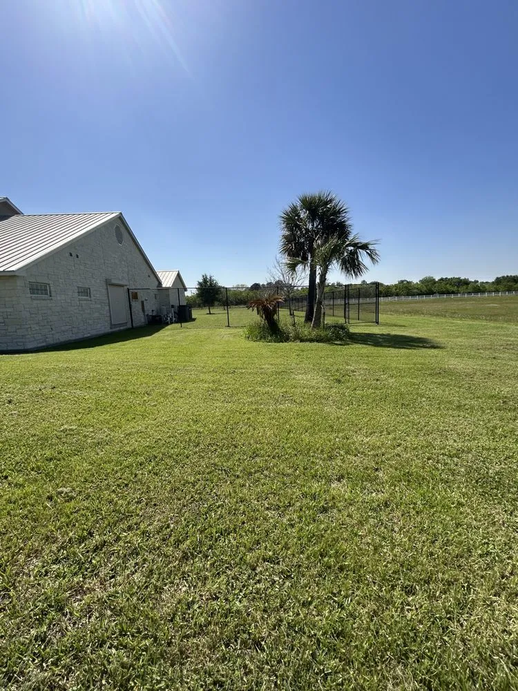 Top-rated yard cleanup service experts serving Missouri City, TX - Landscape Artistry