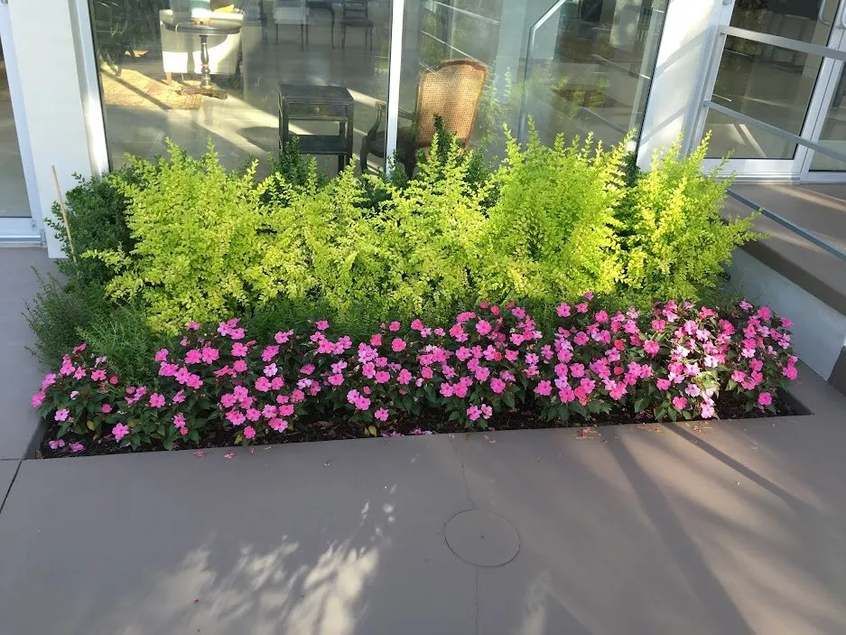 Professional landscape design experts serving Savannah, GA - Landscape Arts