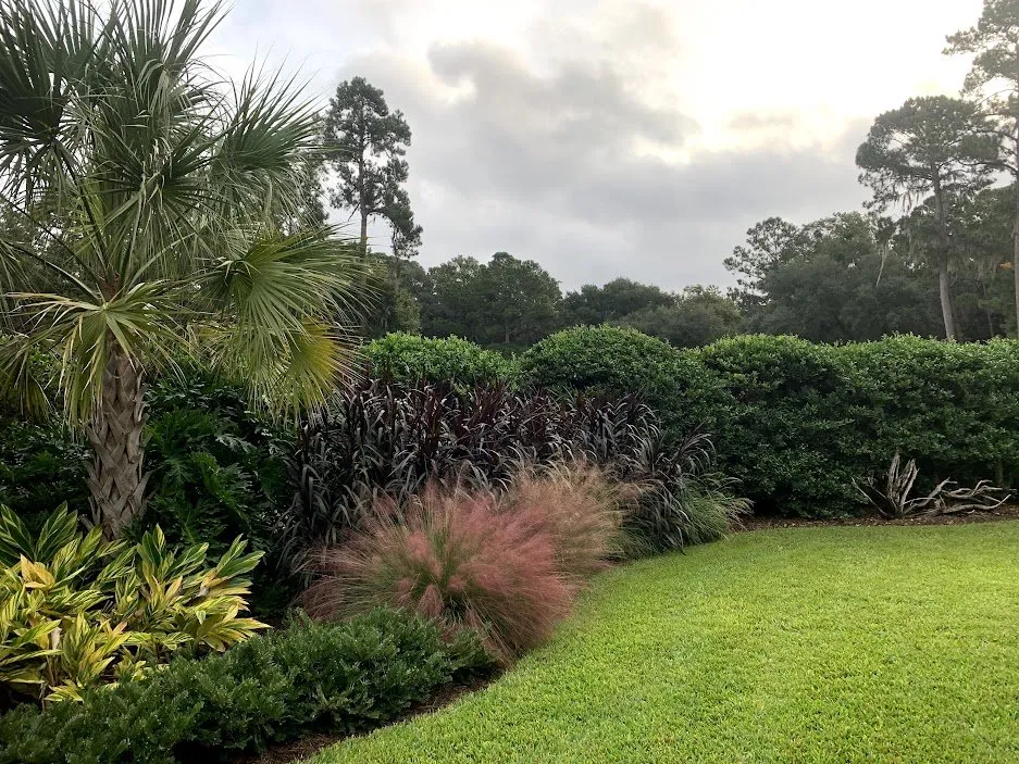 Reliable landscaping services for residential properties across Savannah, GA - Landscape Arts