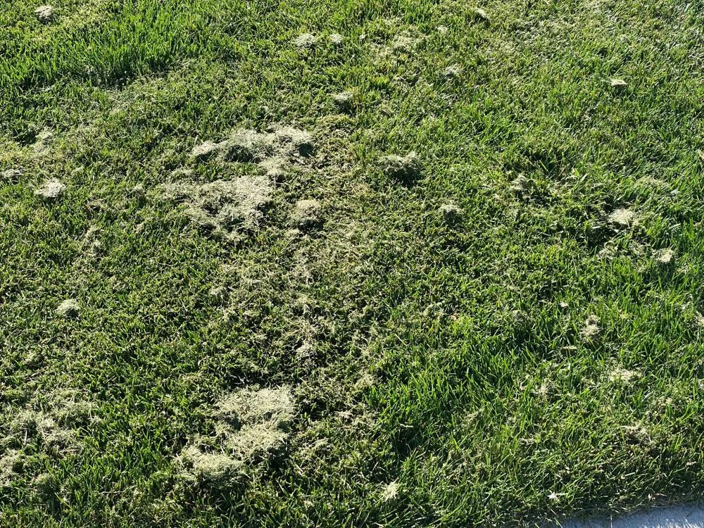 Affordable landscape installation for beautiful yards across De Pere, WI - Landscape Associates