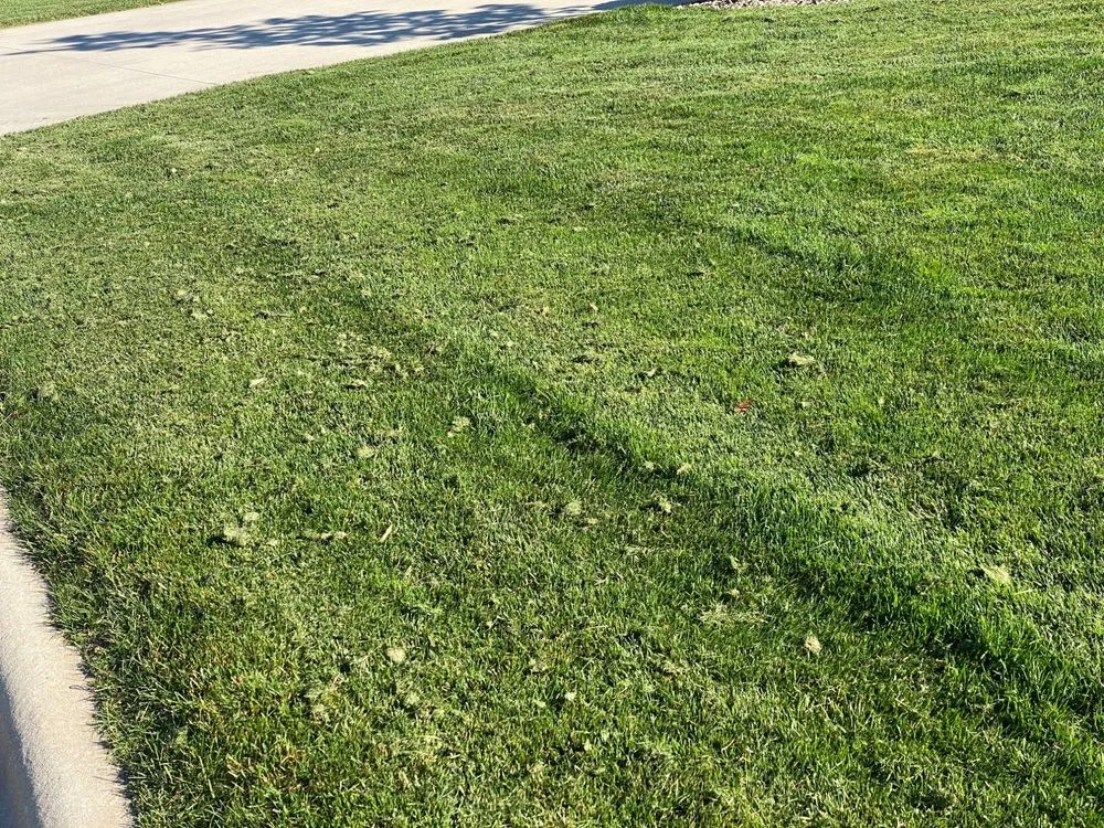 Professional landscape design for homes in De Pere, WI by Landscape Associates