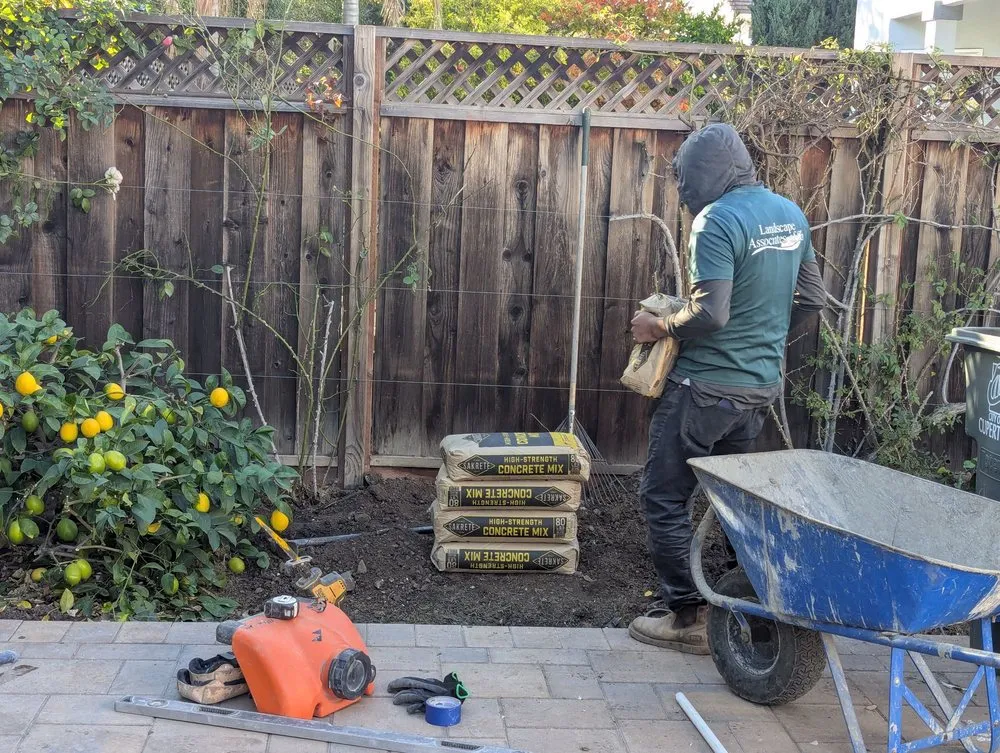 Trusted lawn care service in Los Gatos, CA - Landscape Associates of CA