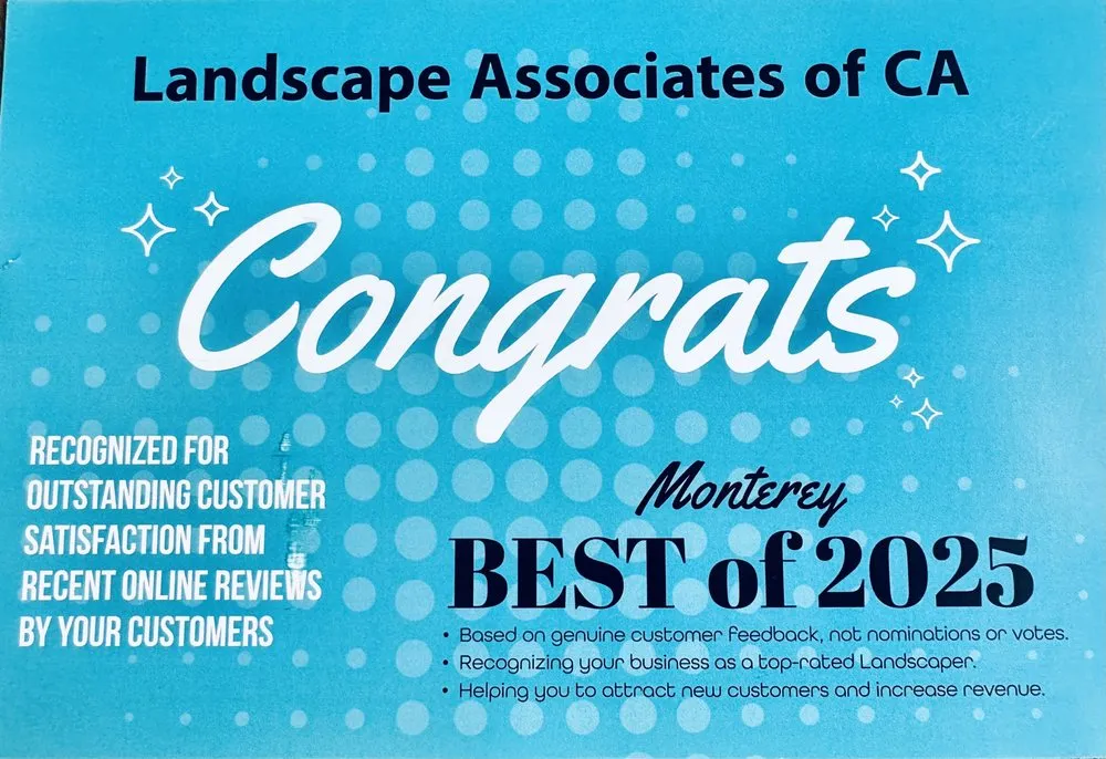 Expert landscaping services near you in Los Gatos, CA by Landscape Associates of CA