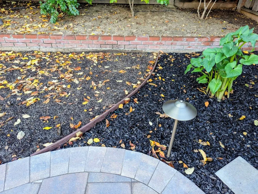 Expert yard maintenance experts serving Los Gatos, CA - Landscape Associates of CA