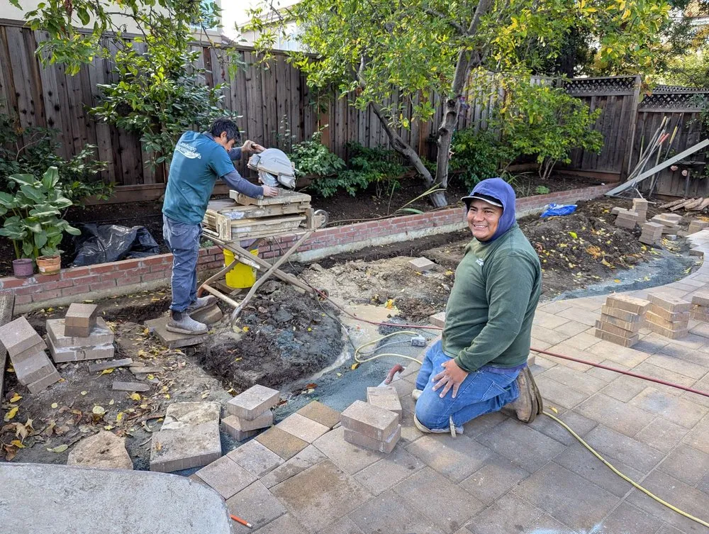 Reliable lawn mowing service experts serving Los Gatos, CA - Landscape Associates of CA