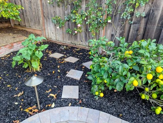 Landscape Associates of CA