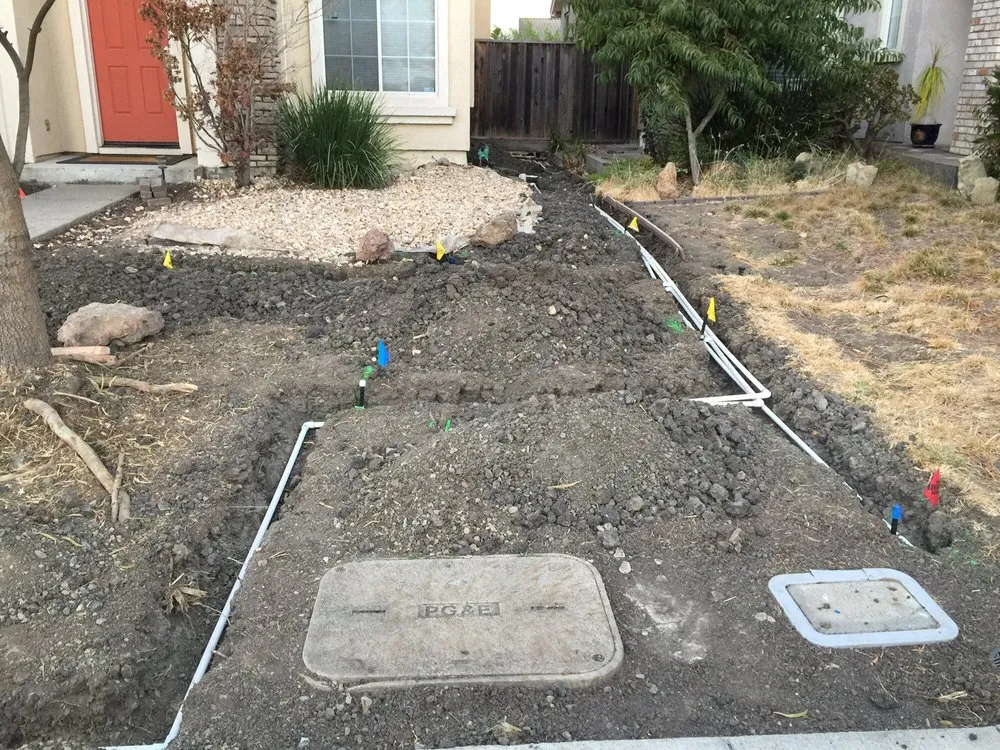 Reliable yard cleanup service in Bay Area, CA by Landscape Barbers