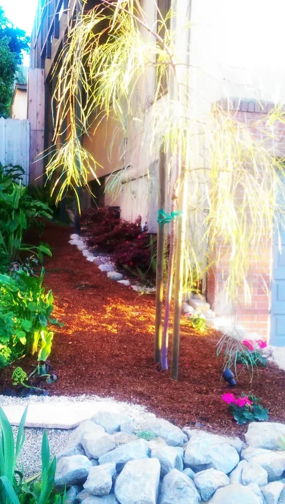 Professional yard maintenance for year-round maintenance across Bay Area, CA - Landscape Barbers