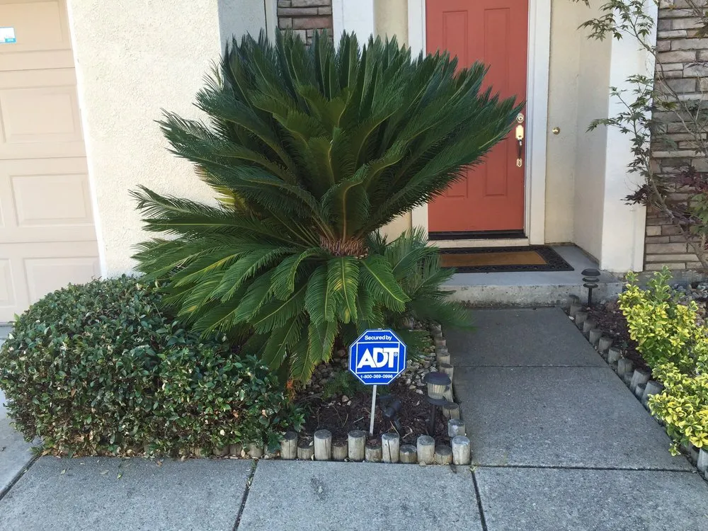 Professional landscape design with custom design across Bay Area, CA - Landscape Barbers