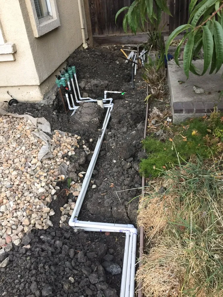 Expert yard cleanup service experts serving Bay Area, CA - Landscape Barbers