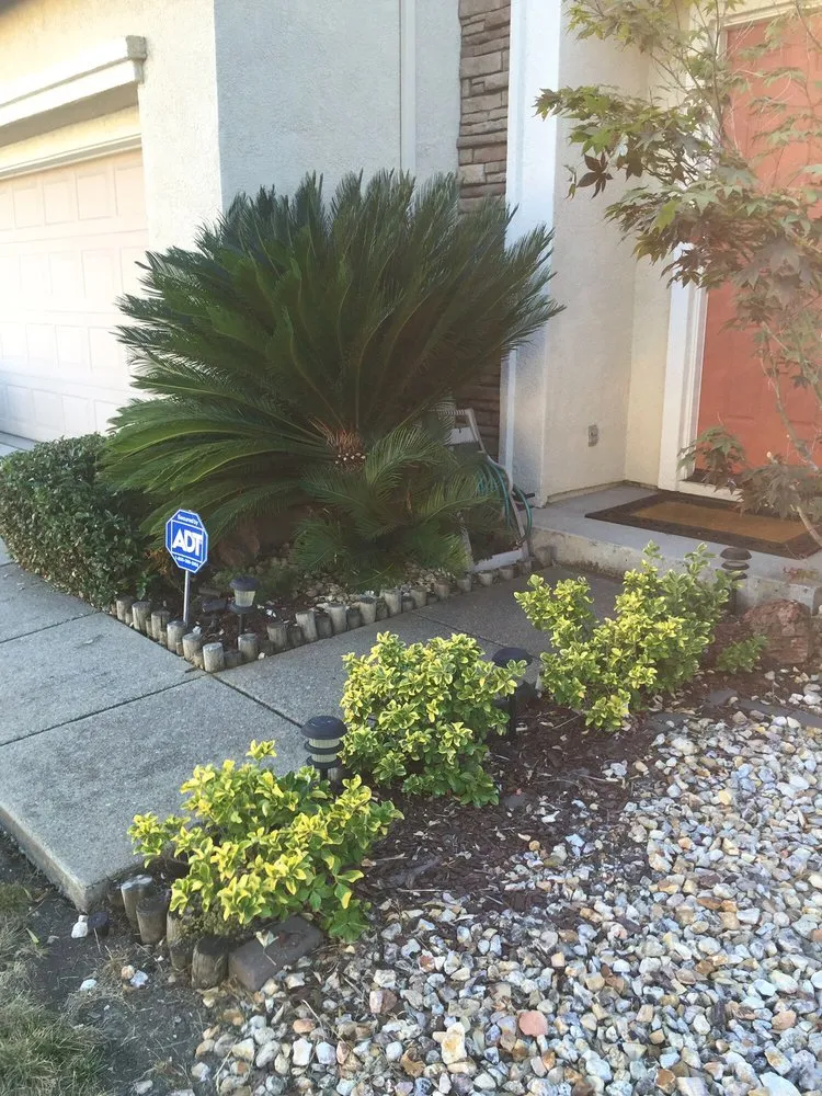 Local landscaping services for homes in Bay Area, CA by Landscape Barbers